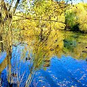 ���� �***, ������, 54 ���� - ��������� 23 ������� 2018 � ������ ���� ����� ����ܻ