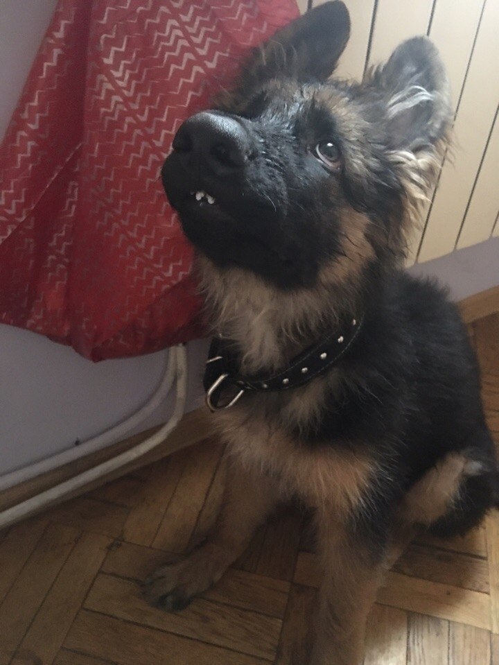 ,4 ))  