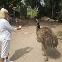 ���� �����, �����, 75 ��� - ��������� 12 ������ 2018 � ������ ������ 2018 ����