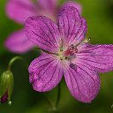 �������� https://fotostrana.ru/user/80624109/ �� ������� �****�