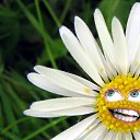 �������� ���� ����� ))) �� ������� ���� ����������