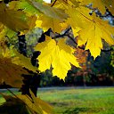 ���� ���������, �������, 66 ��� - ��������� 19 ������� 2018 � ������ ������ ��������