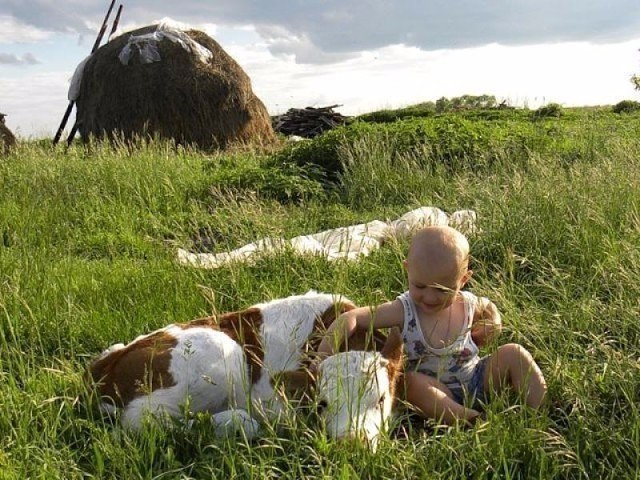         ,   ,  ...   ... - 7