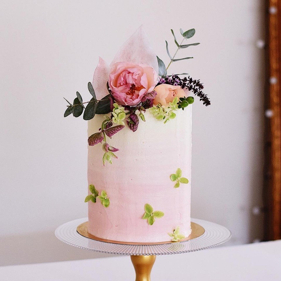 https://fotostrana.ru/away?to=/sl/yqM2 belsizecakes
