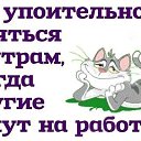 ���� �������, ������� - ��������� 15 ������� 2018 � ������ ���� ����������