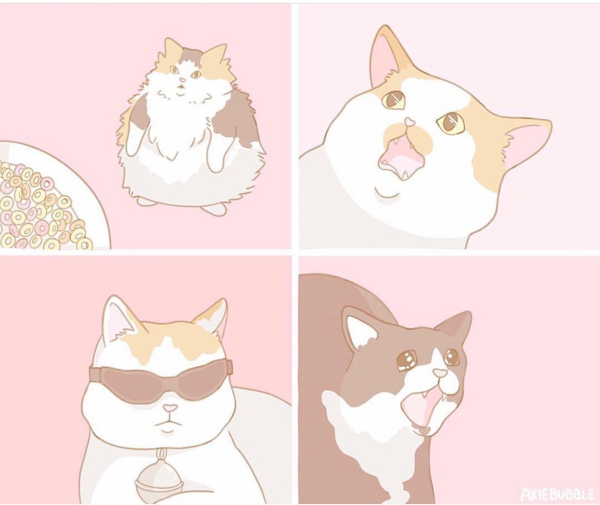       - - 3