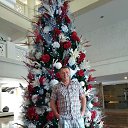 ���� ����, �����-���������, 62 ���� - ��������� 4 ������� 2019