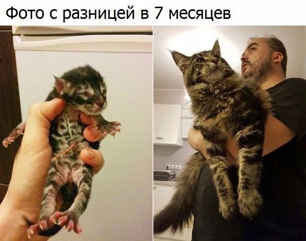    - 24  2019  16:49