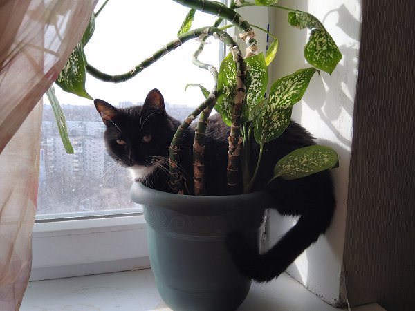 #�������_�����.� 2013 �������� ������, ������ �������,� ������� ������,�������� ��������� �� ����� ... - 4