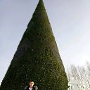 ���� ���������, �������, 39 ��� - ��������� 21 ������ 2019 � ������ ���� ����������