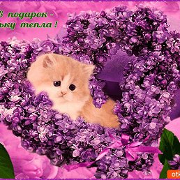 ���� ����, �����, 36 ��� - ��������� 24 ����� 2019