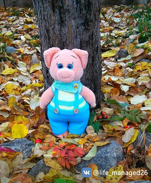 #игрушки@fan_handmade.Вот и я готова к 2019 году Рост 38 см. Связаны с любовью Оправка по России - 3