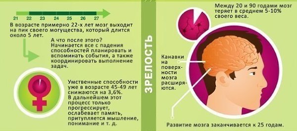 Как возраст влияет на мозг человека? Время летит, мы стареем, а вместе с нами - и наш мозг. - 4