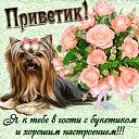 ���� ������, �������������, 67 ��� - ��������� 29 ������ 2018 � ������ ���� ����������