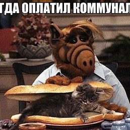 ������, ����, 36 ���