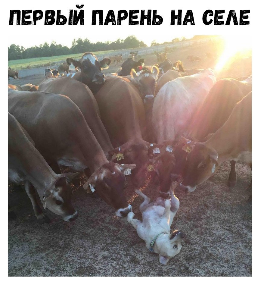    :D - 16  2018  16:21