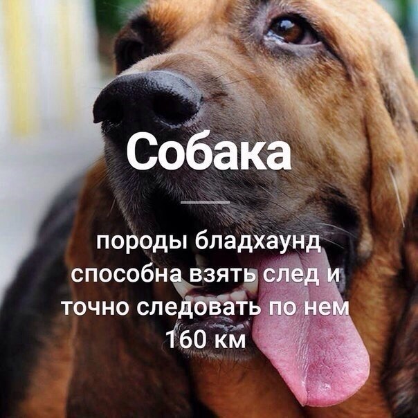   :    - 7  2018  16:32