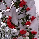 ���� ������, ����������� - ��������� 8 ������� 2018 � ������ ������ ��������