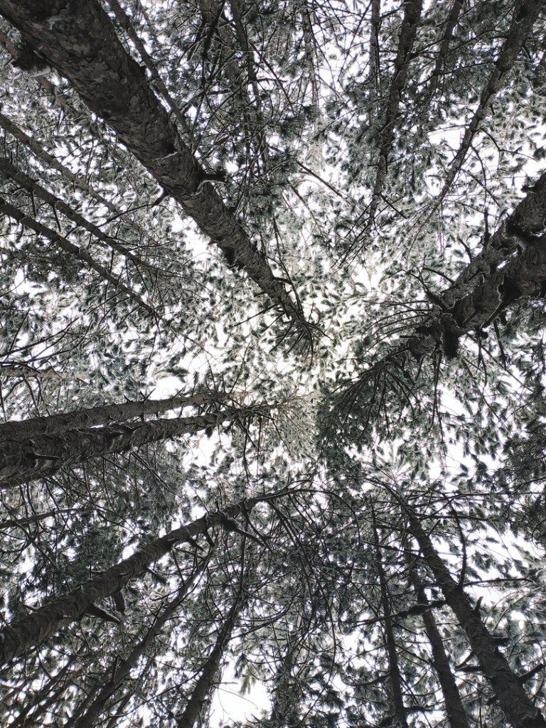      ! - 4