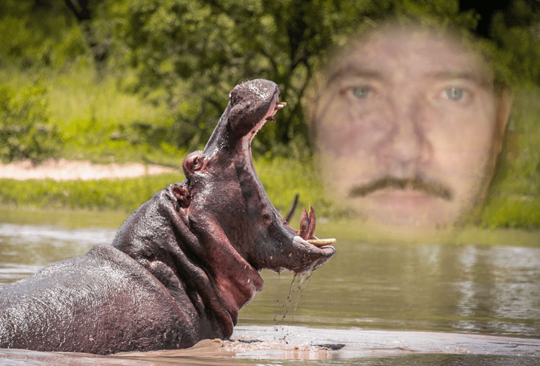 ������ - 4 �������� 2018 � 17:08