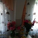 ���� ����, ����, 72 ���� - ��������� 15 ������� 2018 � ������ ���� ����������