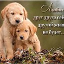 ���� *Nasya*, ����, 33 ���� - ��������� 18 ���� 2018 � ������ ������ ��������