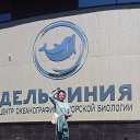 ���� ������, ������ - ��������� 2 ������� 2018 � ������ ���� ����������