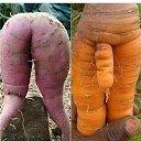  ••,  -  22  2019       