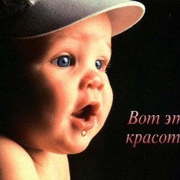 ���������, �������