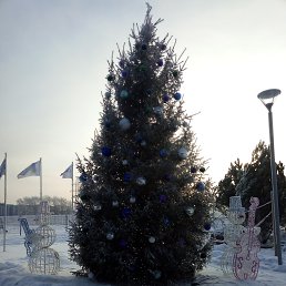 ���� �, �����������, 51 ��� - ��������� 10 ������ 2019