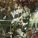 ���� �����, �����, 75 ��� - ��������� 12 ������ 2018 � ������ ������ 2018 ����