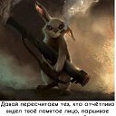  ,  -  13  2019    