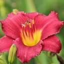  ,  -  6  2018      ...