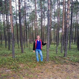 ���������, ��������, 38 ���