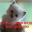 ���� ������, ������, 57 ��� - ��������� 6 ����� 2019 � ������ ���� ����������
