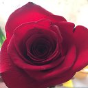 ���� Nastasya, ����, 24 ���� - ��������� 11 ����� 2019 � ������ ������ ��������