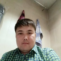 �����, ������������, 37 ���