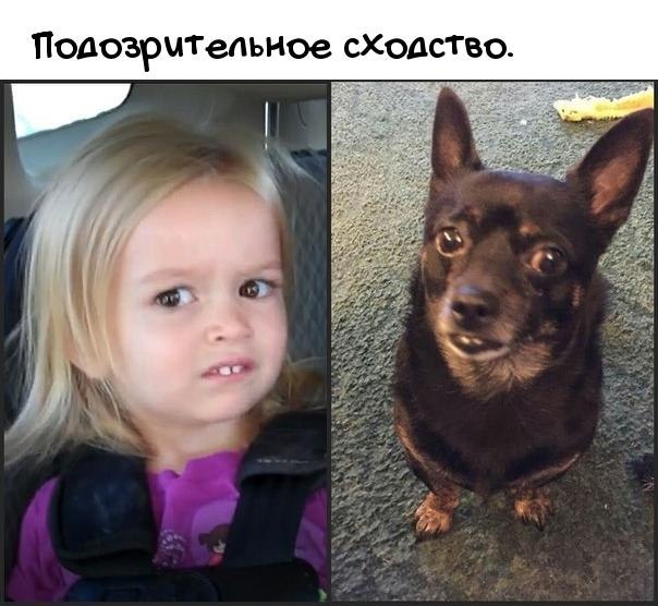   - 20  2019  17:03
