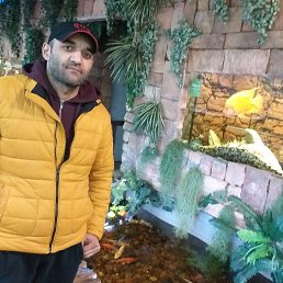 ����, ������, 43 ����