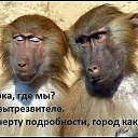 ���� �����, �����, 52 ���� - ��������� 28 �������� 2018 � ������ ������ ��������