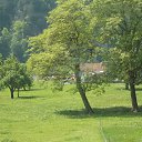  , -, 39  -  11  2018   San Gottardo/Kantone:Ticino,Uri,Zug..(Switzerland)