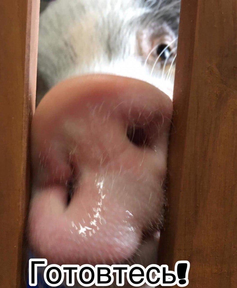   ,    . - 1  2019  18:21