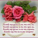 ���� ���� (��������)), ������ - ��������� 2 ������� 2018 � ������ ������ ��������