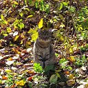 ���� �������, ������� - ��������� 14 ������� 2018 � ������ ������ ��������