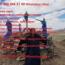 ���� �����, ������, 38 ��� - ��������� 14 ������� 2018 � ������ ������ ��������
