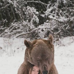 ���������, ��������������, 43 ����