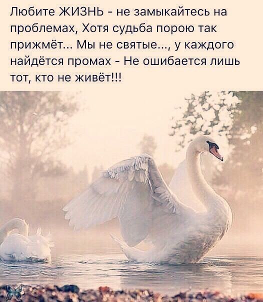  - 5  2018  23:03