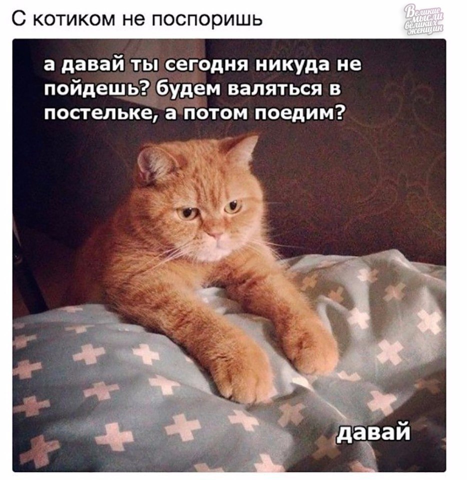     - 10  2018  16:58