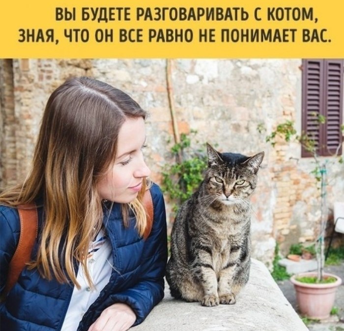   ,    -        - 8