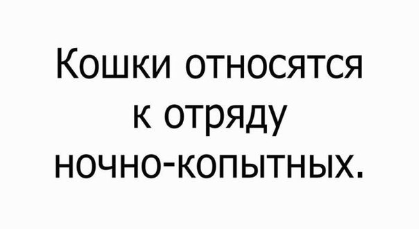    - 18  2018  02:52